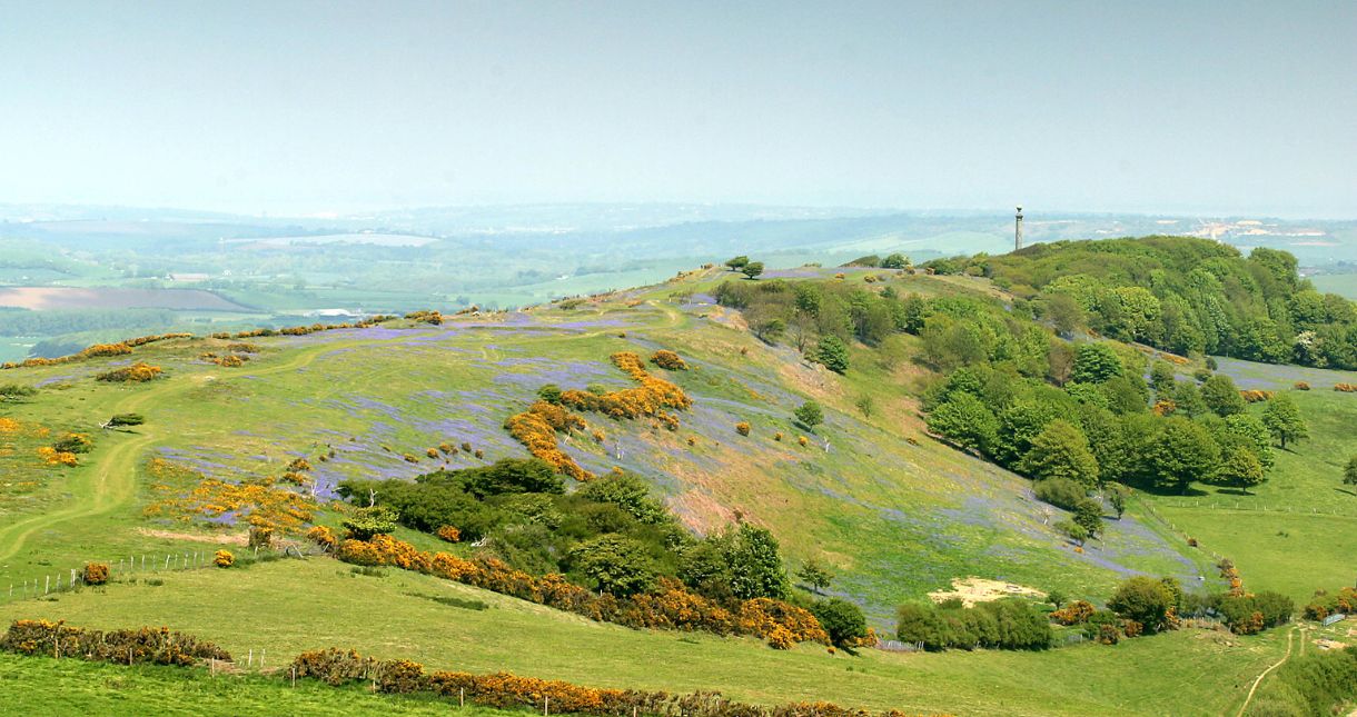 Hoy Monument, Isle of Wight